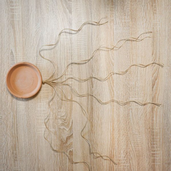 DIY-Futterspender zum Aufhängen – Makramee - Garten Tiere